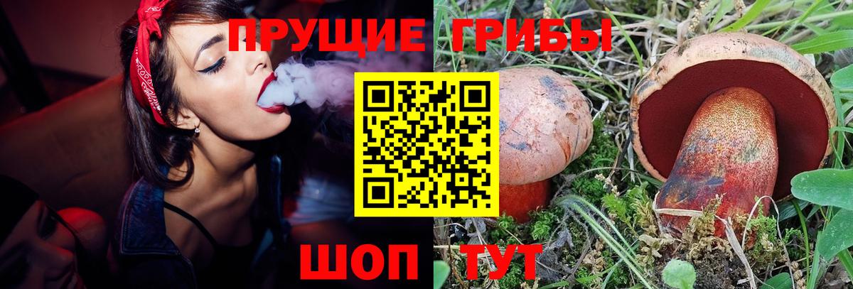 Истра  купить   Вход с VPN  Псилоцибиновые грибы ЛСД 